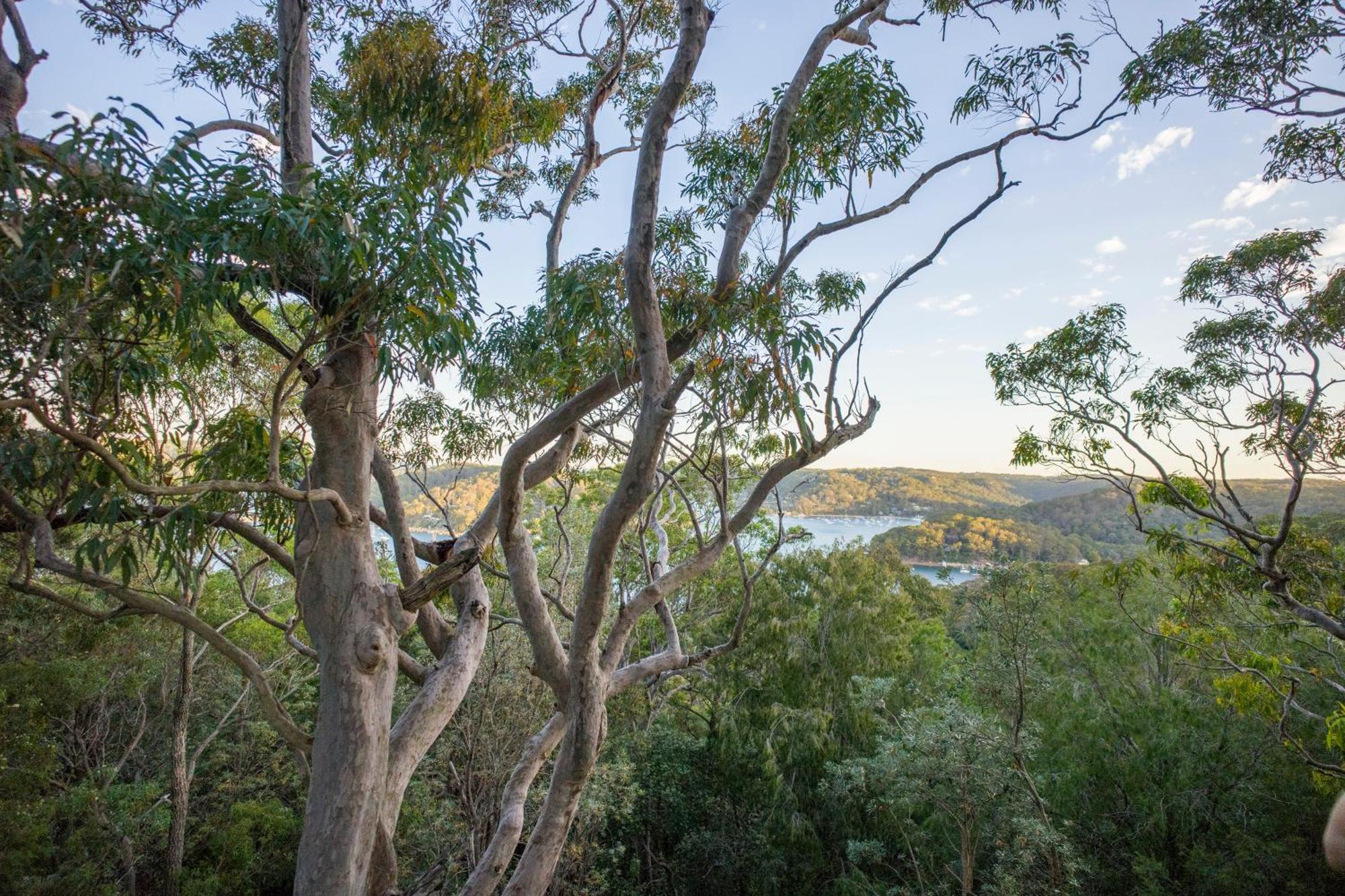 Yha Pittwater Eco, Sydney Vandrarhem Church Point Exteriör bild